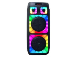Gigatech zvučnik NDR-088 FM_USB_TF Bluetooth TWS 2X8" s mikrofonom