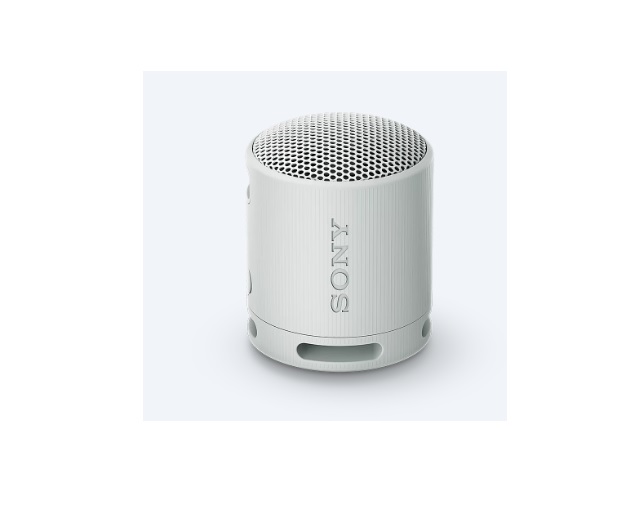 SRSXB100H.CE7 BLUETOOTH ZVUCNIK SONY GREY