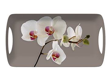 Creative Tops tacna Orchid Harmony Small