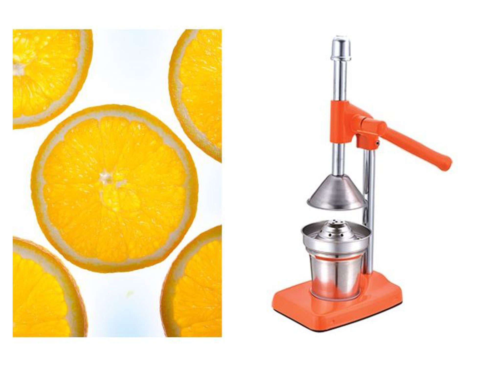 Frescura presa za citruse C113060