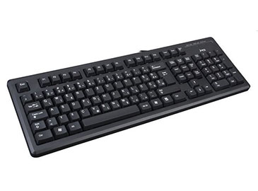 MS tastatura KB-01 PS_2