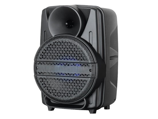 Zvucnik Gigatech BSK-500 (FM_USB_bluetooth) 8" karaoke s wireless mikrofonom 